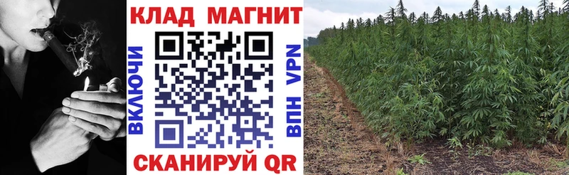 Как найти наркотики Динская A PVP  Мефедрон  Конопля 