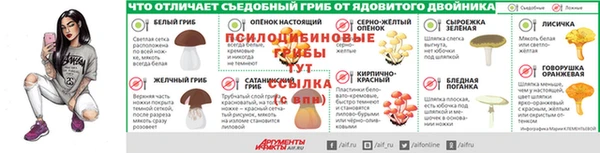 спайс Алзамай
