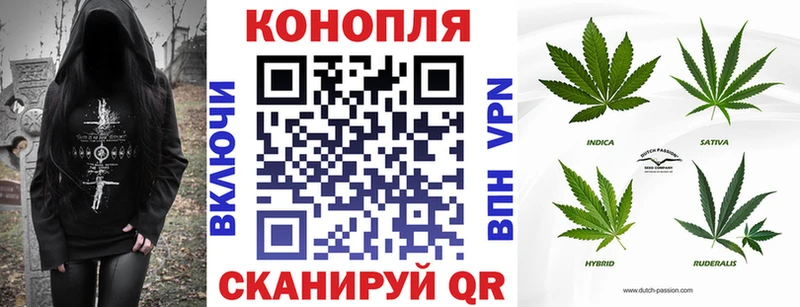 где продают   Динская  Бошки Шишки THC 21% 